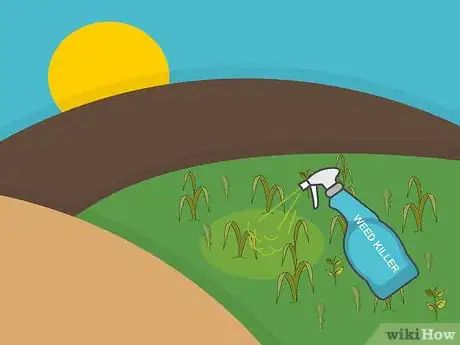 Image titled Plant a St Augustine Sod Step 16