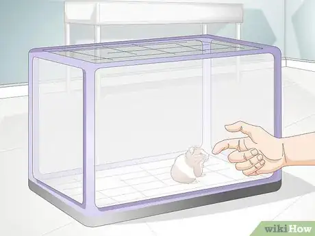 Image titled Select a Hamster Cage Step 4