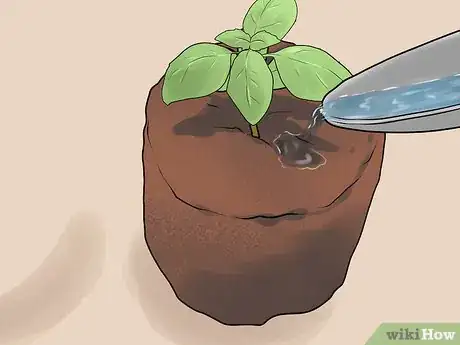 Image titled Transplant Herb Seedlings Step 2