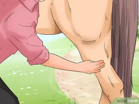 Image titled Massage a Horse Step 5