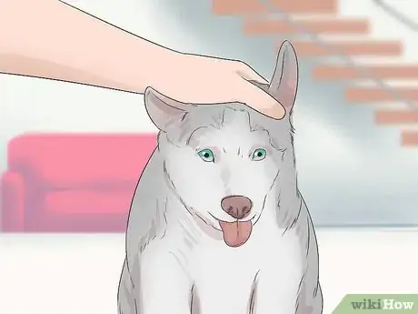 Image titled House Train Your Dog in Less than a Week Step 11