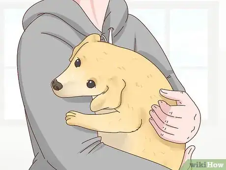 Image titled Recognize Signs of Anxiety in Dogs Step 20