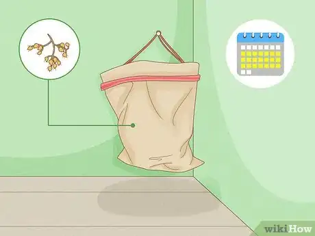 Image titled Pick Coriander Step 10