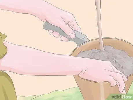 Image titled Grow Hydrangeas Step 2