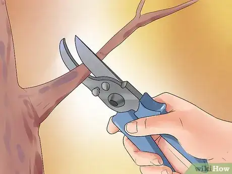 Image titled Care for a Weeping Cherry Tree Step 17