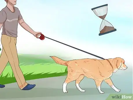 Image titled Dine Out with Your Dog Step 4