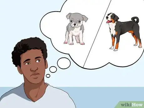Image titled Choose a Laid‐Back Dog Step 2