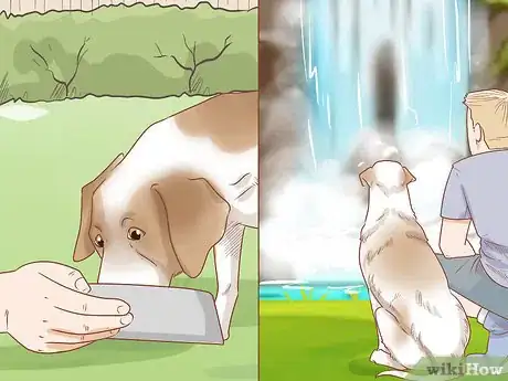 Image titled Take Your Dog Camping Step 7