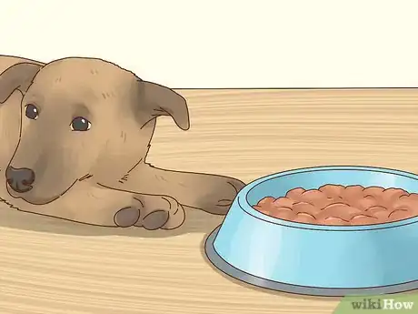 Image titled Recognize Signs of Anxiety in Dogs Step 18