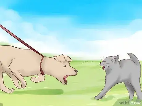 Image titled Introduce Dogs to Cats Step 6