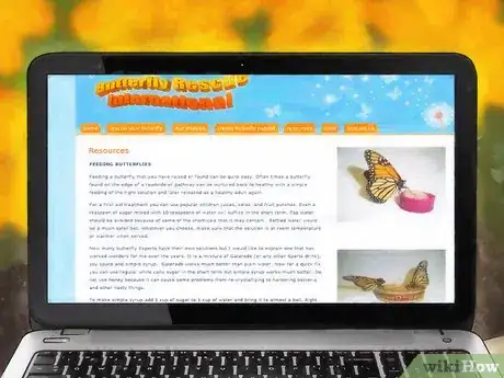 Image titled Attract Butterflies Step 16