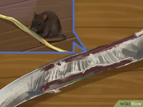 Image titled Catch Roof Rats Step 12