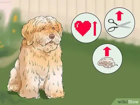 Image titled Choose an Active Dog Step 9