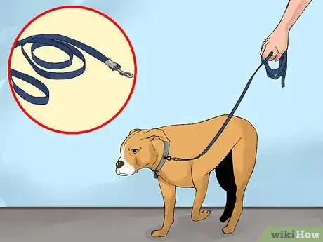 Image titled Care for an American Pit Bull Terrier Step 7