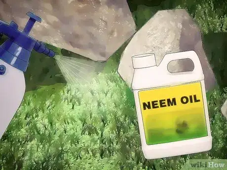 Image titled Get Rid of Grasshoppers Step 5