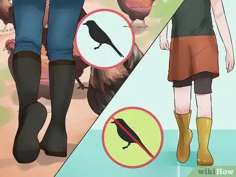 Image titled Prevent Bird Flu (Avian Influenza) Step 10