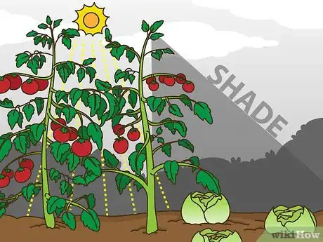 Image titled Grow Vegetables in the South (USA) Step 10