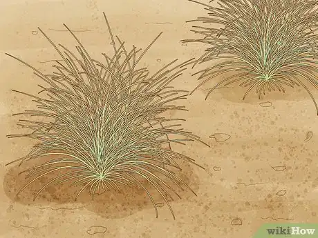 Image titled Get Rid of Canadian Thistles Step 8