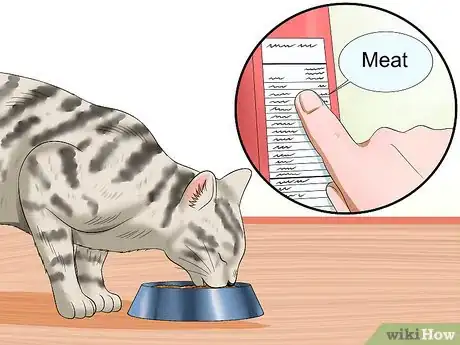 Image titled Care for Egyptian Maus Step 8