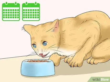 Image titled Deal with Cat Food Allergies Step 5