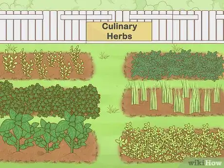 Image titled Garden when You Have a Dog Step 3