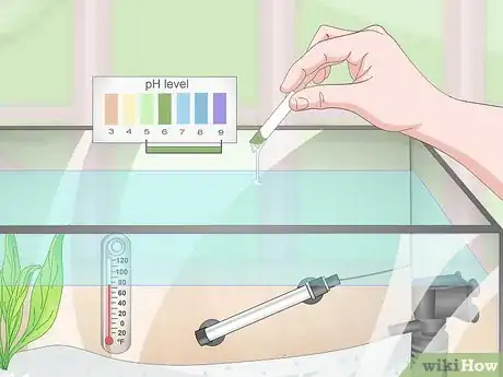 Image titled Prevent Fish From Getting Sick Step 4