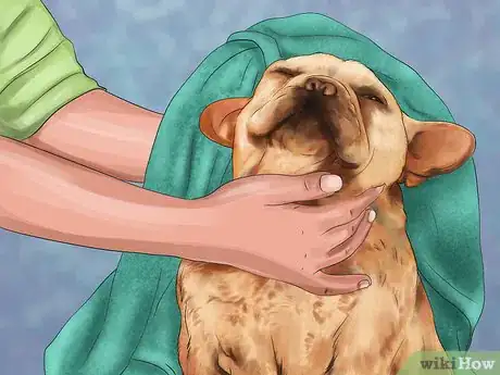 Image titled Treat Fever in Dogs Step 3
