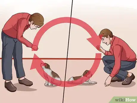 Image titled Teach Your Puppy to Lie Down Step 9