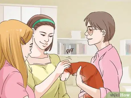 Image titled Know if Your Older Dog Suffers from Separation Anxiety Step 13