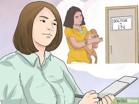 Image titled Care for Your Gun Dog Step 1