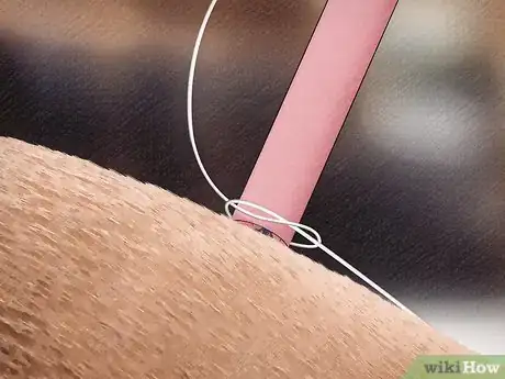 Image titled Remove a Tick from a Horse Step 6