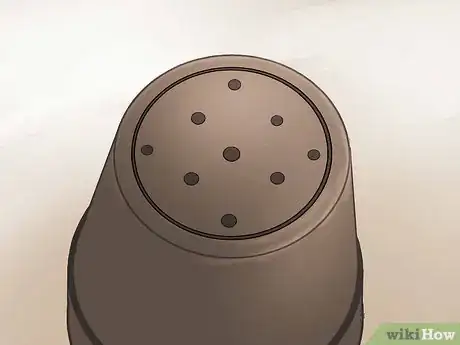 Image titled Grow Cannas Step 18