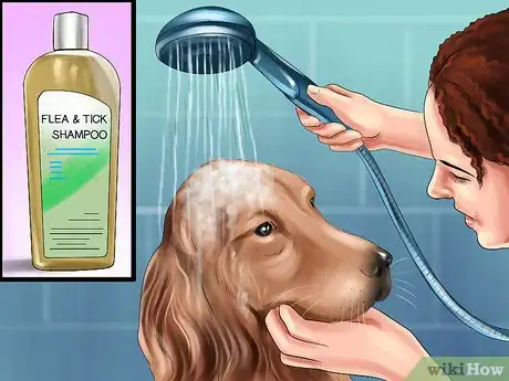 Image titled Keep Ticks from Your Dogs Step 3