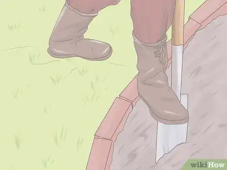 Image titled Grow Hydrangeas Step 3