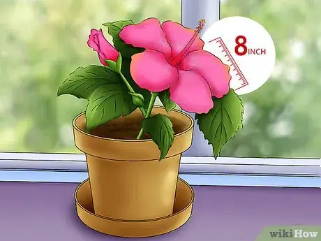 Image titled Select Blooming Houseplants Step 7