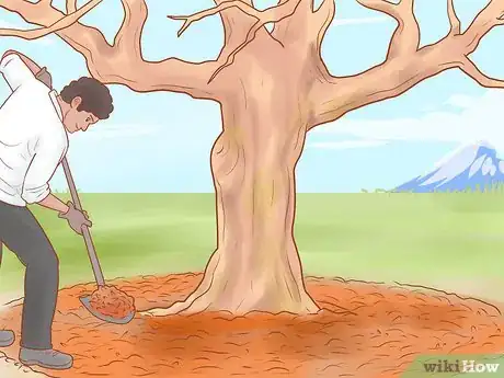 Image titled Prune Old Apple Trees Step 18