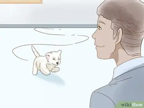 Image titled Look After Pets During Fireworks Step 12