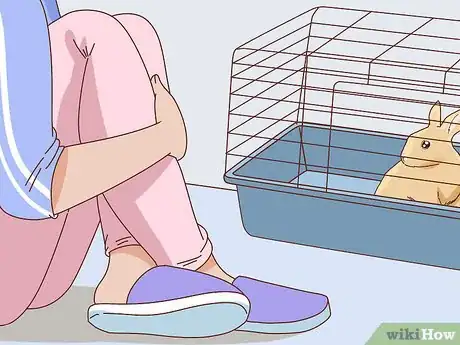 Image titled Befriend a Shy Rabbit Step 6