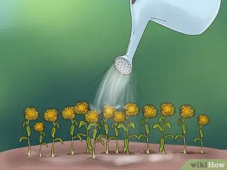 Image titled Grow Flowers from Seed Step 14