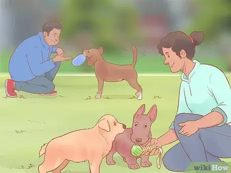 Image titled Keep Your Dog Entertained Step 13