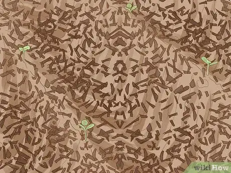 Image titled Grow Acorn Squash Step 12