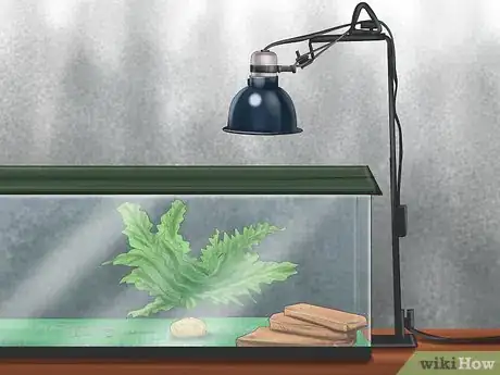 Image titled Make Your House a Better Place for Animals Step 10