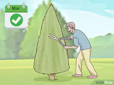 Image titled Prune Arborvitae Step 1