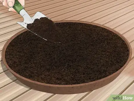 Image titled Create a Dish Garden Step 3