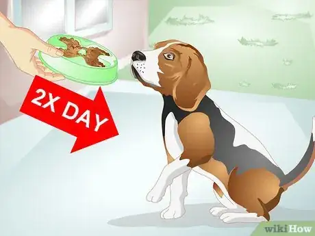Image titled Reduce Flatulence in Dogs Step 9