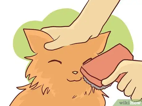 Image titled Bathe a British Shorthair Step 15