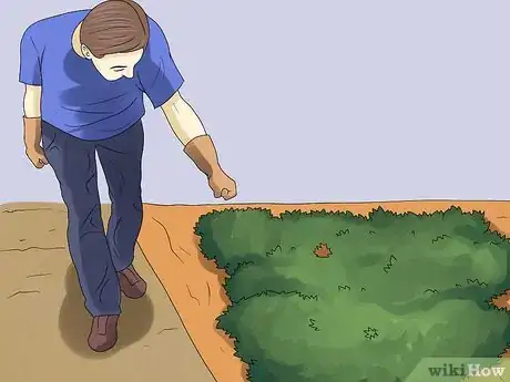Image titled Remove an Ivy Plant Step 11