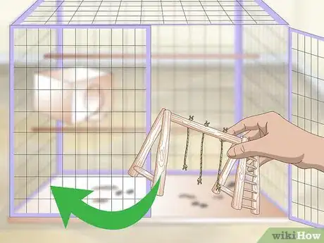 Image titled Clean and Maintain Lory and Lorikeet Habitats Step 2