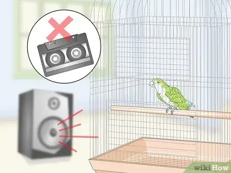 Image titled Teach a Quaker Parrot to Speak Step 10