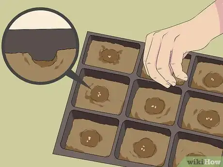 Image titled Grow Bergamot Step 3